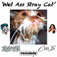 'Wet Ass Stray Cat' - Cardi B Vs. The Stray Cats  [produced by Voicedude]