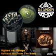 Agnes vs. Wings - Release the Band on the Run