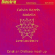 Molella x Calvin Harris love last desire Cristian D'eliseo mashup