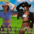 If You're Not In It For Texas (Beyonce vs. Shania Twain)