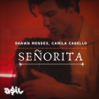 Shawn Mendes & Camila Cabello - Señorita (ASIL Rework)