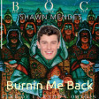 Burnin' Me Back (Shawn Mendes vs. Blue Oyster Cult)