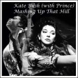 Mashing Up That Hill (Kate Bush & Prince)