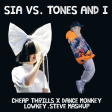 Sia vs Tones and I - Cheap Thrills x Dance Monkey (lowkey.steve Mashup)