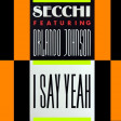 Stefano Secchi - I Say Yeah ft. Orlando Johnson (Miki Zara Remode)