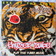 Funky Tiger Music