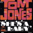 Tom Jones - She's A Lady (Dj Raffaele Giusti rmx)