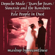 Pale People in Dust (Depeche Mode vs. Tears for Fears vs. Siouxsie & the Banshees)