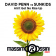 DAVID PENN vs SUNKIDS - Aint Got No Rise Up (ROSSINI Mashup)