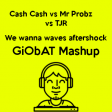 Cash Cash vs Mr Probz vs TJR - We wanna waves aftershock (GiObAT Mashup)