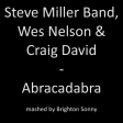 Abracadabra - Steve Miller Band, Wes Nelson & Craig David (Brighton Sonny mashup)