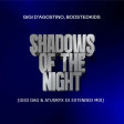 Gigi D' Agostino Ft. Boostedkids - Shadows Of The Night (Gigi Dag & Atudryx Dj Extended Mix)