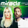 Calvin Harris Feat. Ellie Goulding - Miracle (Angelino Capobianco 2003 Remix)