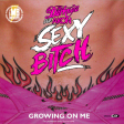 Sexy Bitch is Growing on Me (Akon x The Darkness)