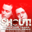 SHOUT - TEARS FOR FEARS INSPIRED BY BLUR "Girls and Boys" - Ayee Mashup