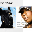 The Wombats vs Missy Elliott - Spelling bee sting (Bastard Batucada Picadazo Mashup)