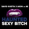 David Guetta & Akon vs 4B - Haunted Sexy Bitch (Dj AAsH Money Mashup)