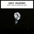 SAULT - Wildfires (Bart Duscian Bootleg Mix)