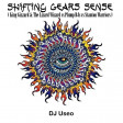 DJ Useo - Shifting Gears Sense ( King Gizzard & The Lizard Wizard vs Plump DJs )