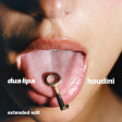 Houdini - Dua Lipa (Hilyte Remix) (Carmelo Reegrove)