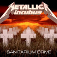 Sanitarium Drive (Incubus vs. Metallica)