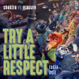 Shakira vs Erasure - Try A Little Respect [Radio Edit]