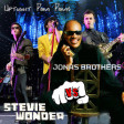 Stevie Wonder - Uptight (Rudec Mashup)