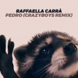 Jaxomy, Agatino Romero, Raffaella Carra - Pedro (CrazyBoys TikTok Song Remix)