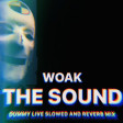 Woak - The Sound (Dummy Live Slowed & Reverb Mix)