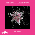 Jake Tarry feat. Maren Morris - The Middle (ASIL Mashup)