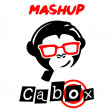 Jason Derulo feat. 2 Chainz Vs. Rhove - Talk Dirty To Whip Whip (Cabox Ext MashUp - DJ Outro)